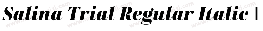 Salina Trial Regular Italic字体转换